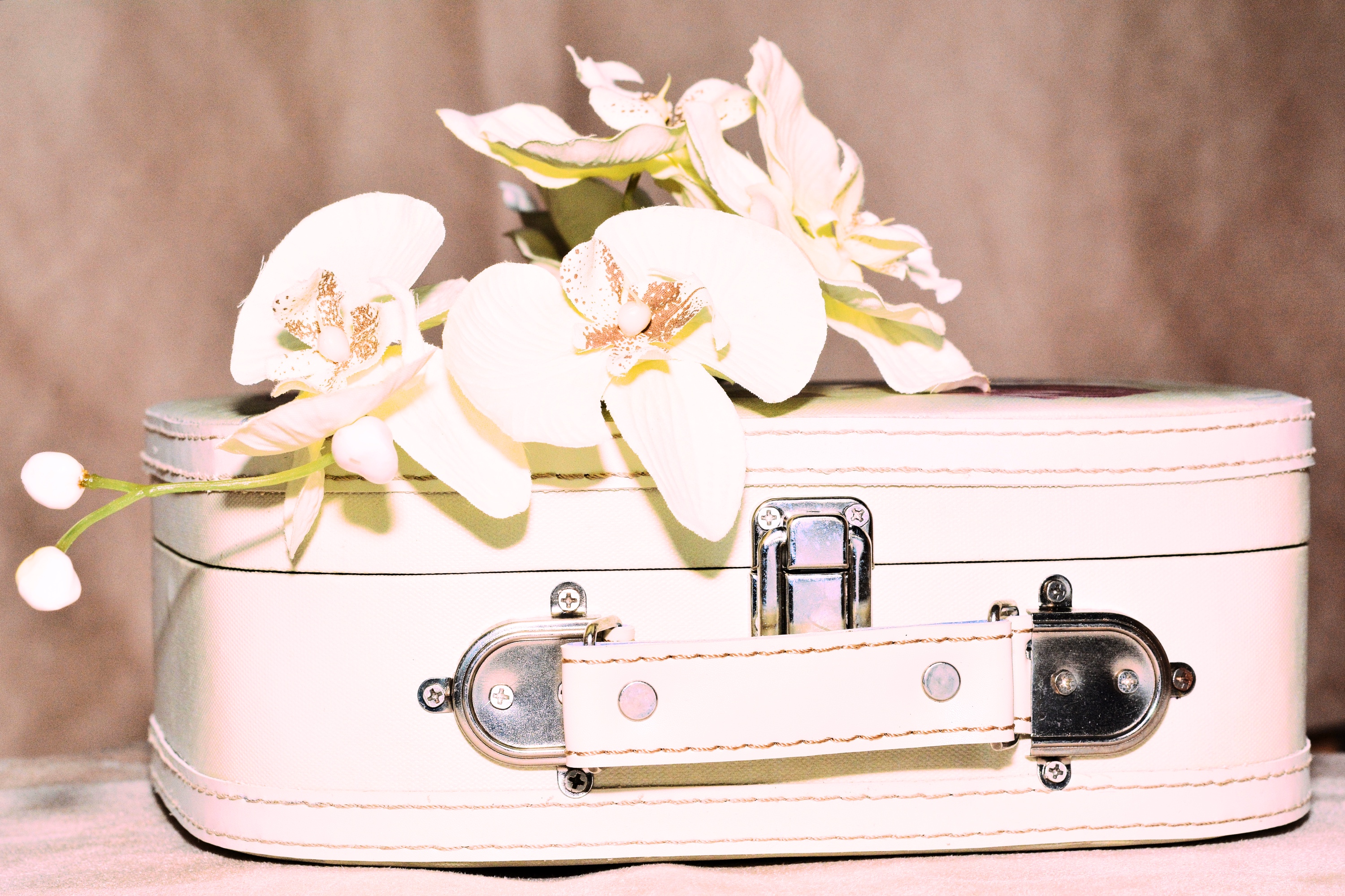 LuggageKofferWhiteOrchidee